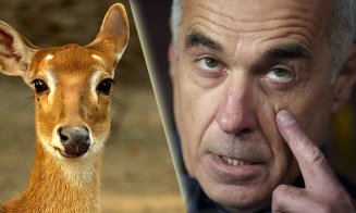 Pro-rusul Georgescu declară război saloanelor de înfrumusețare. A comparat femeia cu un animal, care nu se duce la pensat