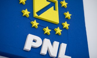 Cu ce candidat ar putea merge PNL la viitoarele alegeri prezidențiale