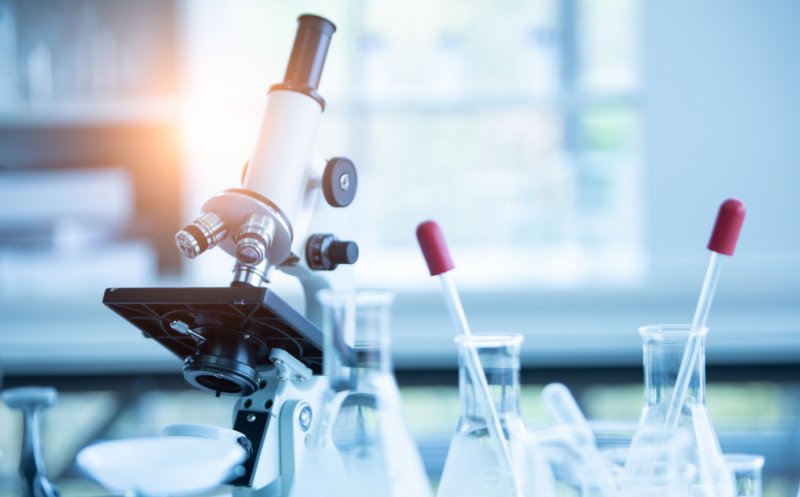 Alimentele bogate în fibre pot încetini evoluţia unui tip de cancer - studiu