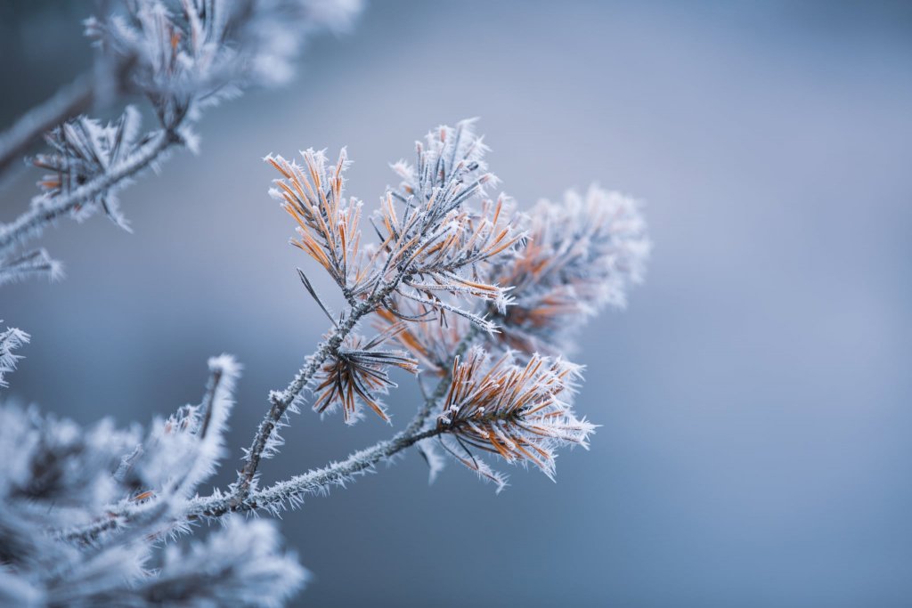 Vremea schimbă foaia! Meteorologii anunță frig și ninsori/ Prognoza până de Bobotează