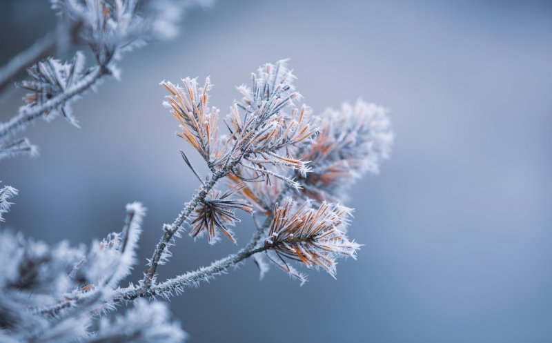 Vremea schimbă foaia! Meteorologii anunță frig și ninsori/ Prognoza până de Bobotează