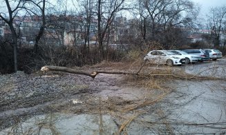 Atenţie pe unde parcaţi în Cluj: "Castor foarte harnic"
