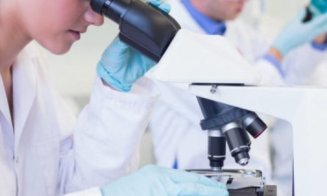 Oamenii de știință cer oprirea cercetărilor privind bacteriile sintetice: „Un risc fără precedent pentru viața pe Pământ”