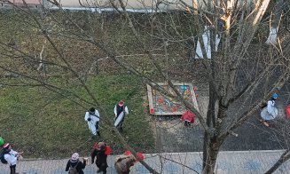 Urşii din Craiova, au ajuns pe "uliţele" din Mănăştur