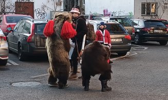 Urşii din Craiova, au ajuns pe "uliţele" din Mănăştur