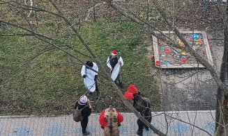 Urşii din Craiova, au ajuns pe "uliţele" din Mănăştur