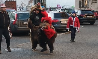 Urşii din Craiova, au ajuns pe "uliţele" din Mănăştur