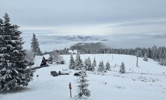 În zona de munte a județului Cluj ninge ca-n povești