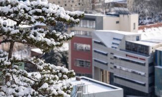Iarnă à la Cluj în IMAGINI