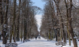 Iarnă à la Cluj în IMAGINI