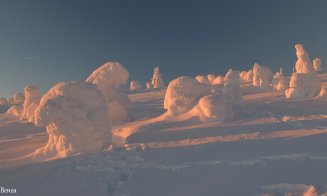Imagini de vis în județul Cluj. Cum arată iarna la cota 1.800