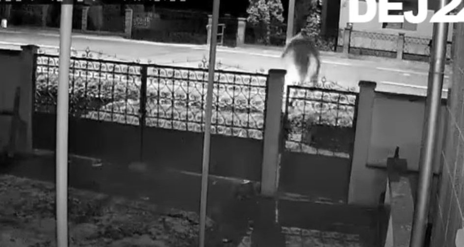 Accident cumplit în Cluj: Un minor care a traversat ilegal strada a fost spulberat de o șoferiță / Video LIVE