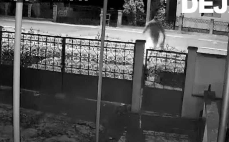 Accident cumplit în Cluj: Un minor care a traversat ilegal strada a fost spulberat de o șoferiță / Video LIVE