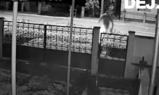 Accident cumplit în Cluj: Un minor care a traversat ilegal strada a fost spulberat de o șoferiță / Video LIVE