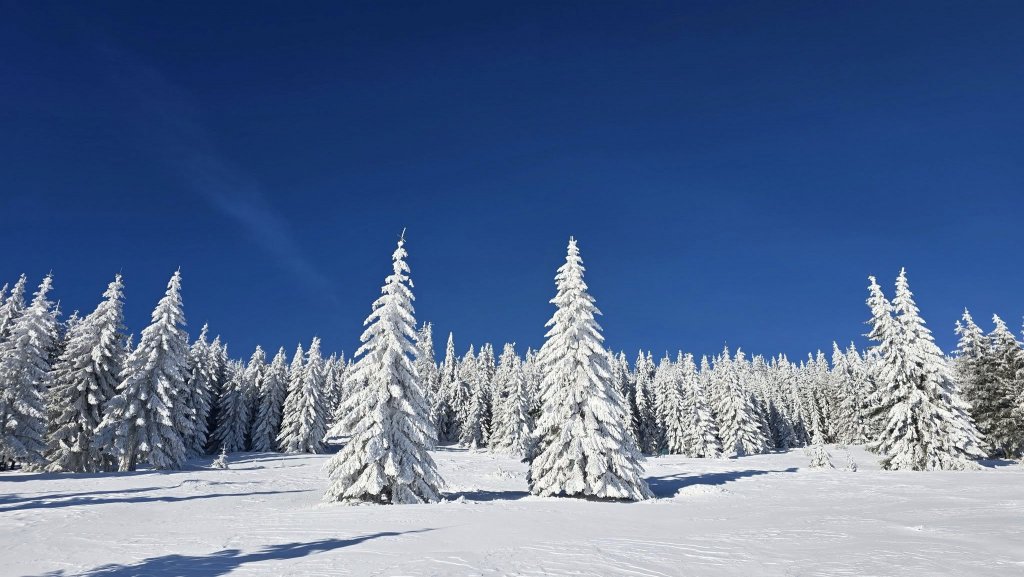 Spectacolul naturii de pe masivul Vlădeasa din Cluj
