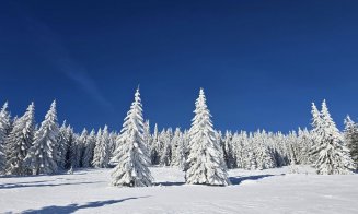 Spectacolul naturii de pe masivul Vlădeasa din Cluj