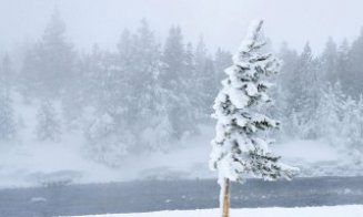 Vânt puternic în zona de munte a Clujului! Rafalele ating 120-130 km/h