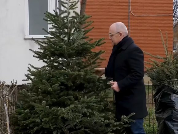 Ce facem cu pomii de Crăciun după Sărbători? Primăria îi ridică gratuit doar până în 15 ianuarie