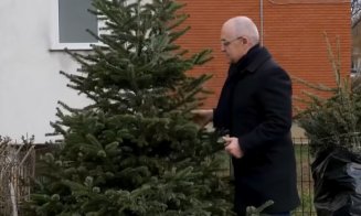 Ce facem cu pomii de Crăciun după Sărbători? Primăria îi ridică gratuit doar până în 15 ianuarie
