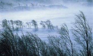 COD GALBEN de vânt în zona de munte a Clujului. Rafalele ajung la 100 km/h