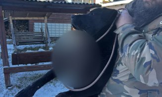 CRUZIME fără limite la Cluj: Posibil nişte minori au prins un câine, prea blând ca să se apere, și i-au aprins o petardă în gură / "Pentru acest 