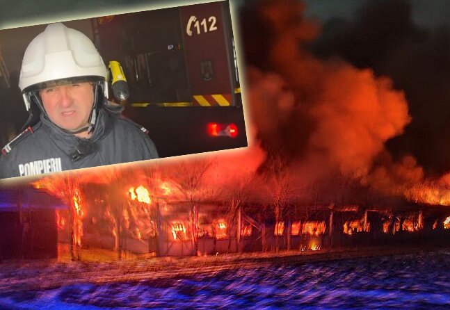 5.000 de porci dintr-o fermă, carbonizaţi într-un incendiu devastator / Niciun animal nu a scăpat cu viaţă