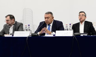 Mihai Daraban: Capacitatea mediului de business de a plăti taxe suplimentare s-a cam epuizat