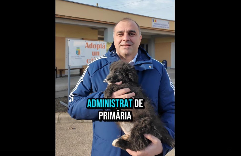 Adoptă! Se caută nume și familie pentru cel mai nou locatar al ecarisajului Cluj-Napoca