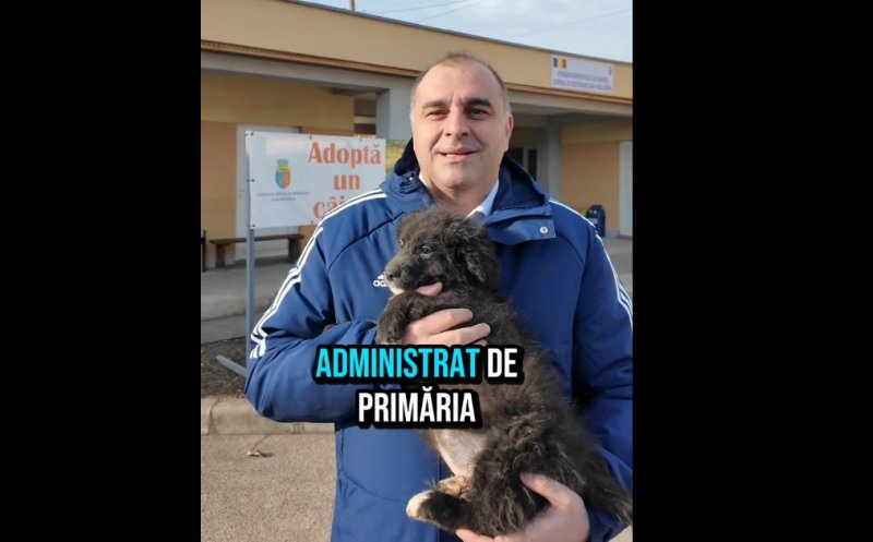 Adoptă! Se caută nume și familie pentru cel mai nou locatar al ecarisajului Cluj-Napoca