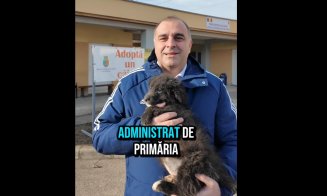 Adoptă! Se caută nume și familie pentru cel mai nou locatar al ecarisajului Cluj-Napoca