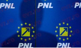 Demisie importantă în PNL. Liberalul era în funcție de peste 20 de ani