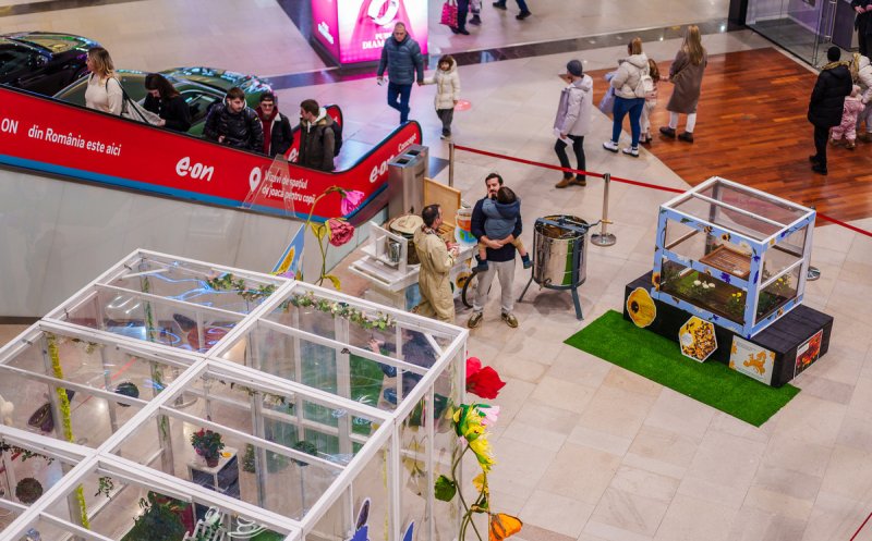 La Iulius Mall Cluj poți să te plimbi printre fluturi și să descoperi viața fascinantă a albinelor, în cadrul „Expoziției educative de Fluturi și Albine Vii"