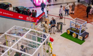 La Iulius Mall Cluj poți să te plimbi printre fluturi și să descoperi viața fascinantă a albinelor, în cadrul „Expoziției educative de Fluturi și Albine Vii"