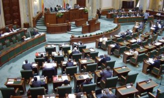 Senator UDMR de Cluj: „Statul suferă de obezitate din perspectiva personalului, iar cura de slăbire trebuie să înceapă de la nivel central”