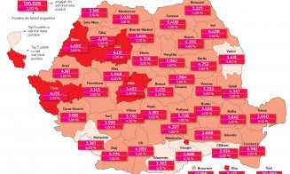 Câte persoane lucrează în administrația publică din Cluj / Județ mare, puțini comparativ restul României