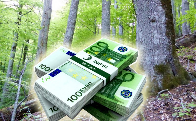 Bonus de 100.000 de euro la pensionare la compania de stat Romsilva / Ministrul Mediului: ”Sunt nişte prime neruşinate”