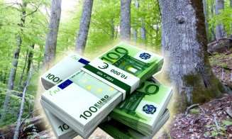 Bonus de 100.000 de euro la pensionare la compania de stat Romsilva / Ministrul Mediului: ”Sunt nişte prime neruşinate”