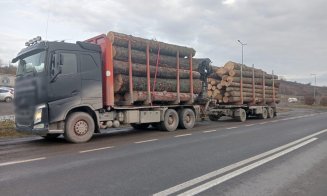 Lemnele la control! 7 sancțiuni contravenționale