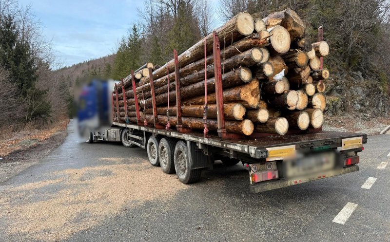 Lemnele la control! Acțiune a polițiștilor clujeni / Camion confiscat pentru ilegalităţi