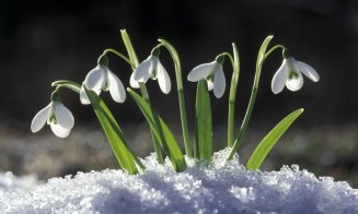 Am scăpat de iarnă? Cum va fi vremea de Mărțișor