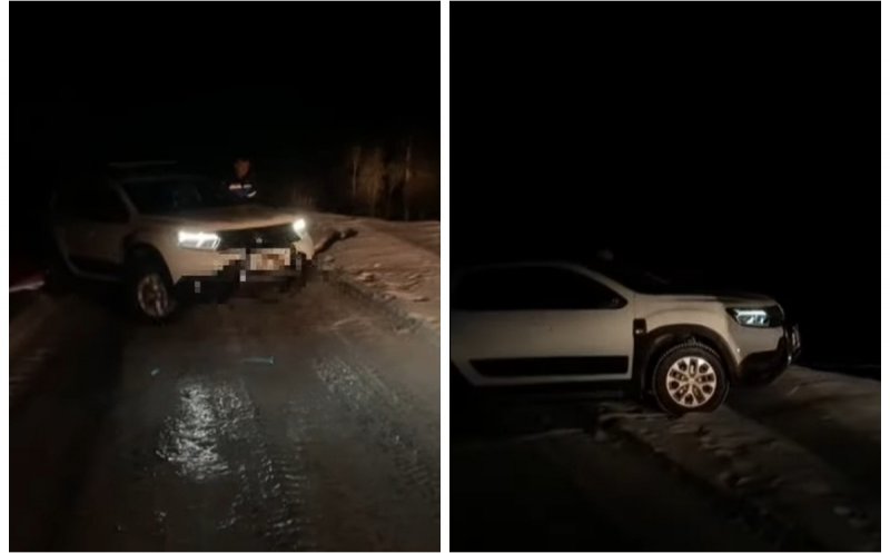 Turiști salvați de jandarmii clujeni după ce au rămas blocați cu mașina pe un drum înghețat