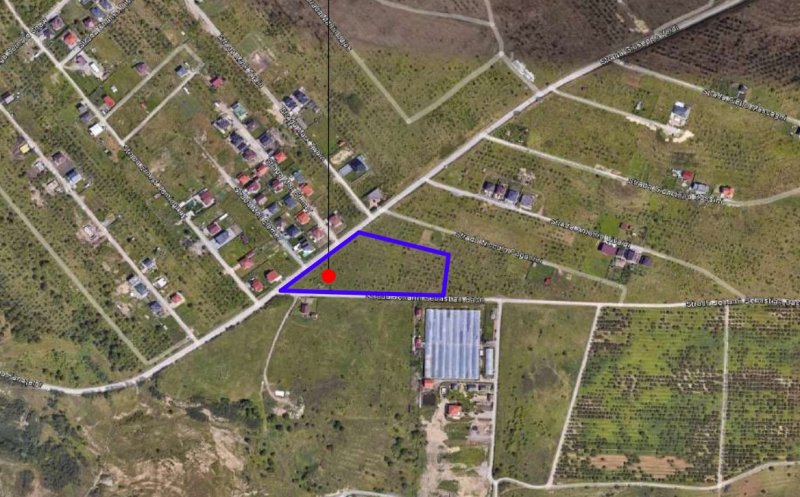 Două figuri publice din Cluj construiesc în zona fermei Steluța