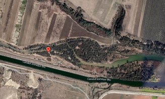 Spectacol mizerabil pe albia Someșului de la Gilău spre Floreşti / Repetenţi la relaţia cu natura