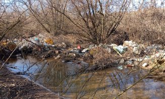 Spectacol mizerabil pe albia Someșului de la Gilău spre Floreşti / Repetenţi la relaţia cu natura