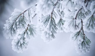 România, sub cod galben de zăpadă viscolită și vreme rece, cu temperaturi de până la -20°C  / Prognoza pentru Cluj