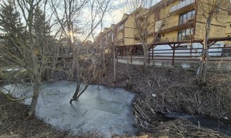 Inginerii acvatici pot tempera dezvoltarea imobiliară / Oferă spații publice verzi la râu, în loc de parcări, garduri şi deversări