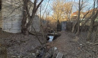 Inginerii acvatici pot tempera dezvoltarea imobiliară / Oferă spații publice verzi la râu, în loc de parcări, garduri şi deversări