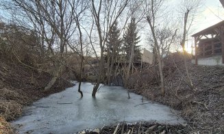 Inginerii acvatici pot tempera dezvoltarea imobiliară / Oferă spații publice verzi la râu, în loc de parcări, garduri şi deversări
