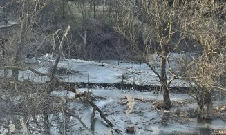 Inginerii acvatici pot tempera dezvoltarea imobiliară / Oferă spații publice verzi la râu, în loc de parcări, garduri şi deversări