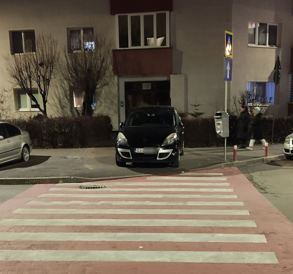 "Se putea și mai rău" / "Nu cred..." / "Era prea frig să deschidă geamul ca s-o urce în sufragerie"